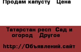 Продам капусту › Цена ­ 4 - Татарстан респ. Сад и огород » Другое   